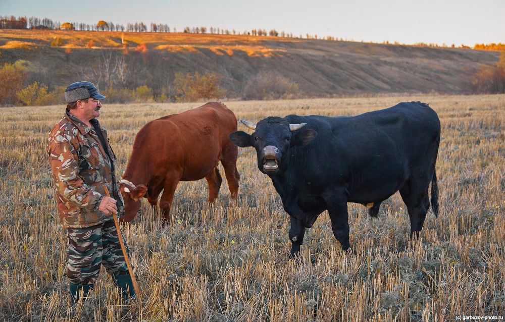 Хорошо в краю родном
