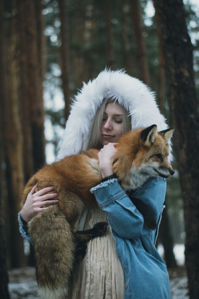 Fox story