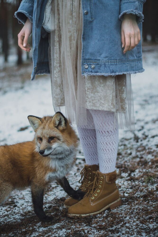 Fox story