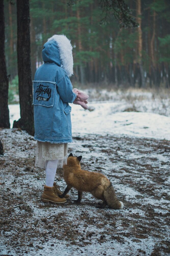 Fox story