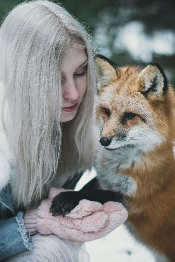 Fox story