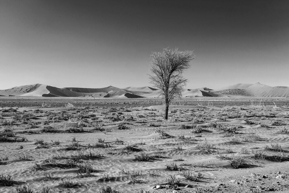 Sossusvlei