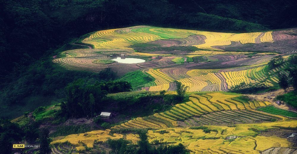 Travel