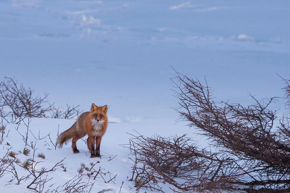 С укором посмотрев