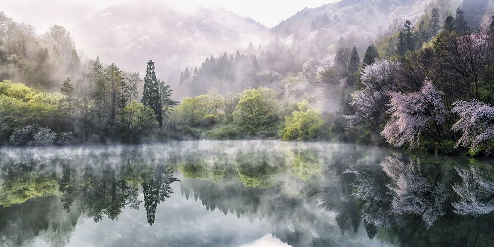 garden of water