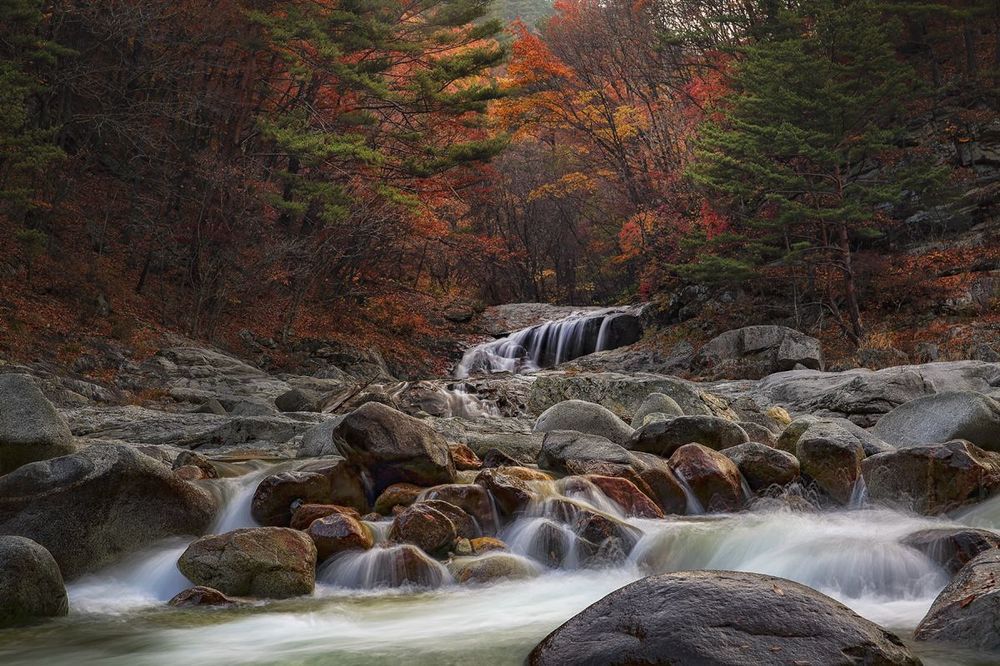 garden of water