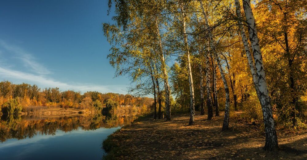 Донецкая осень