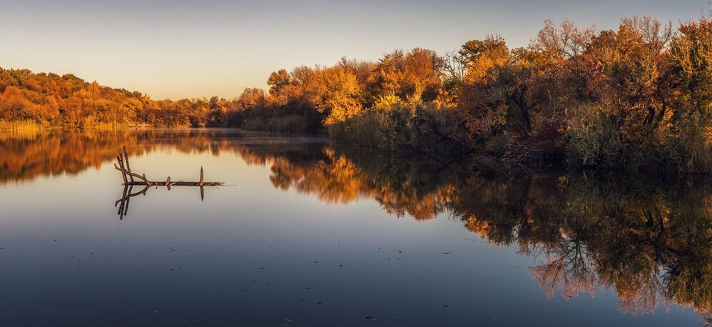 Донецкая осень