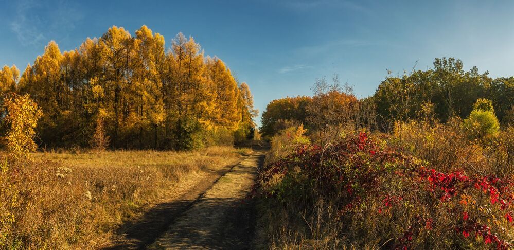 Донецкая осень