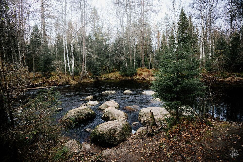 Линдуловская роща