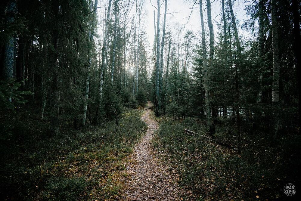 Линдуловская роща