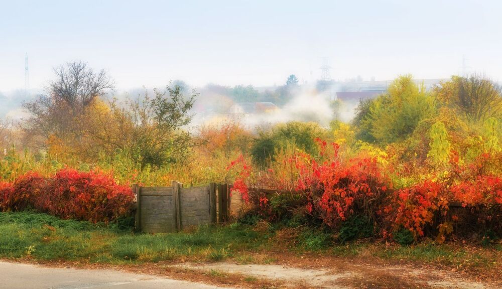 Осень на хуторе