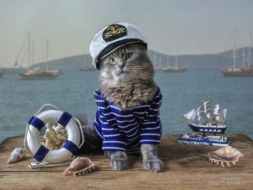 - Ну, кто со мной в плавание по морям. по волнам?