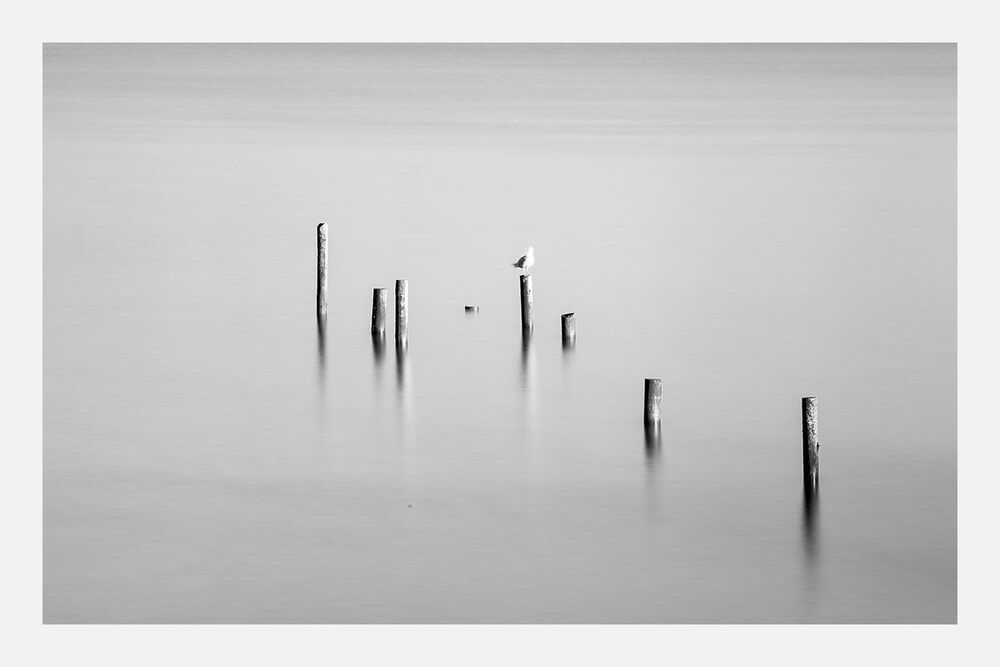 Sea