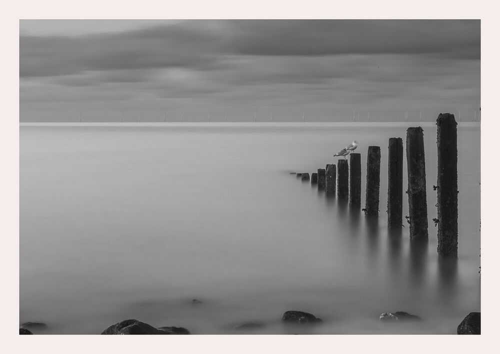 Sea