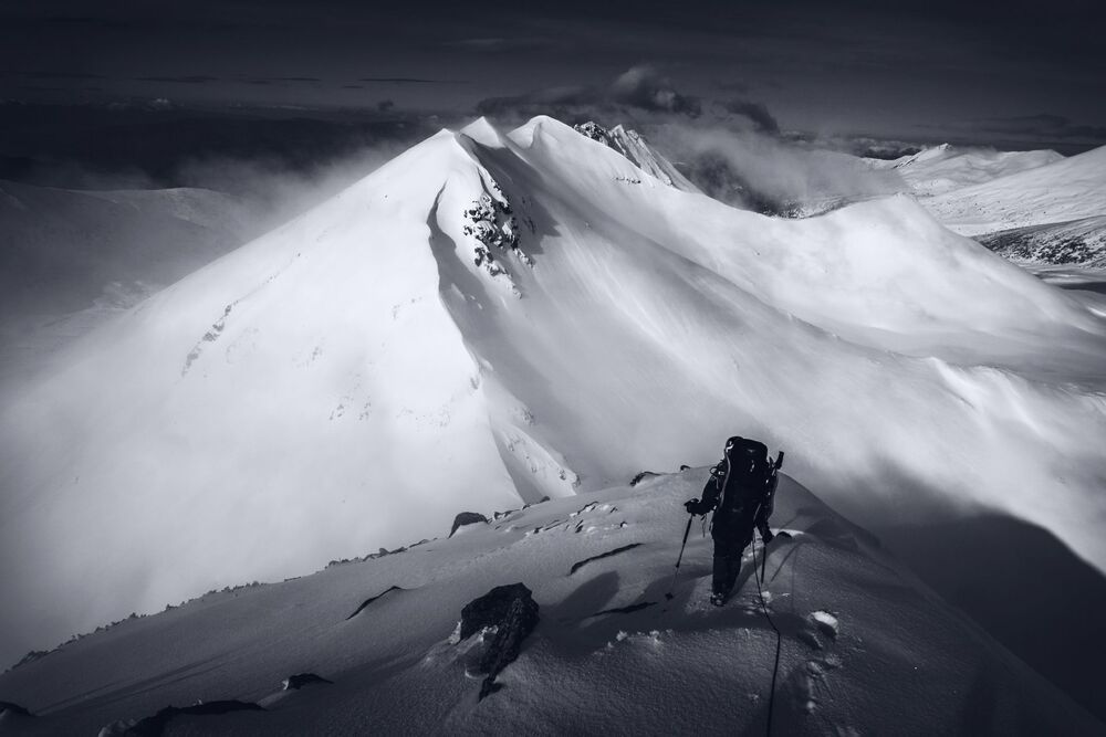 Branislav Brankov Portfolio