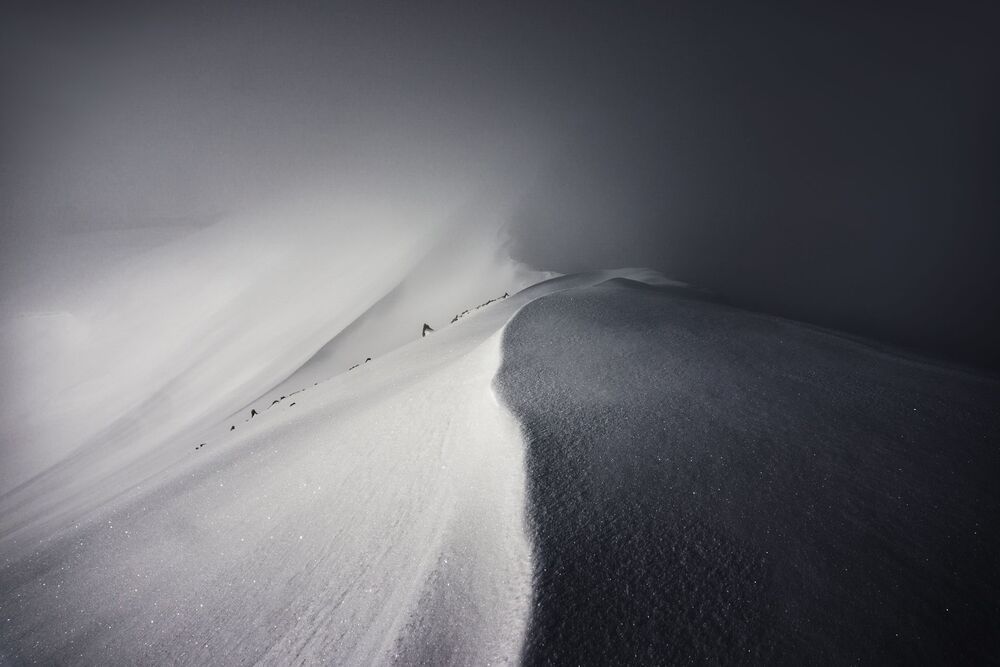 Branislav Brankov Portfolio