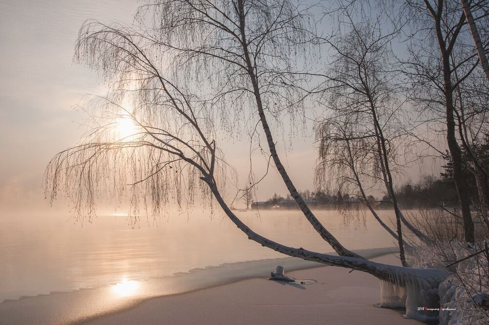 Photo 1378767