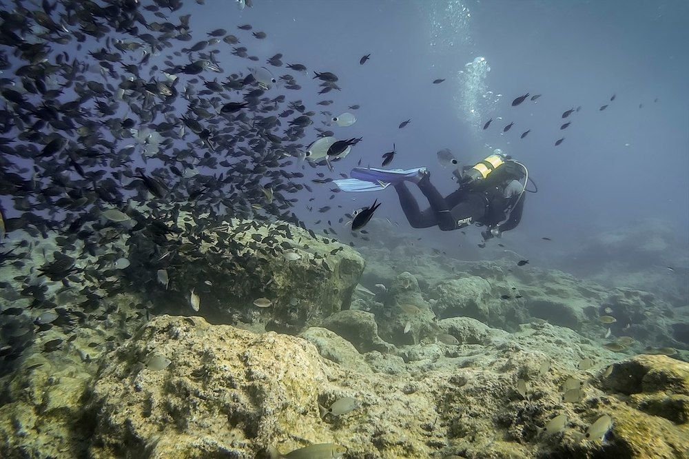 Underwater Freedom