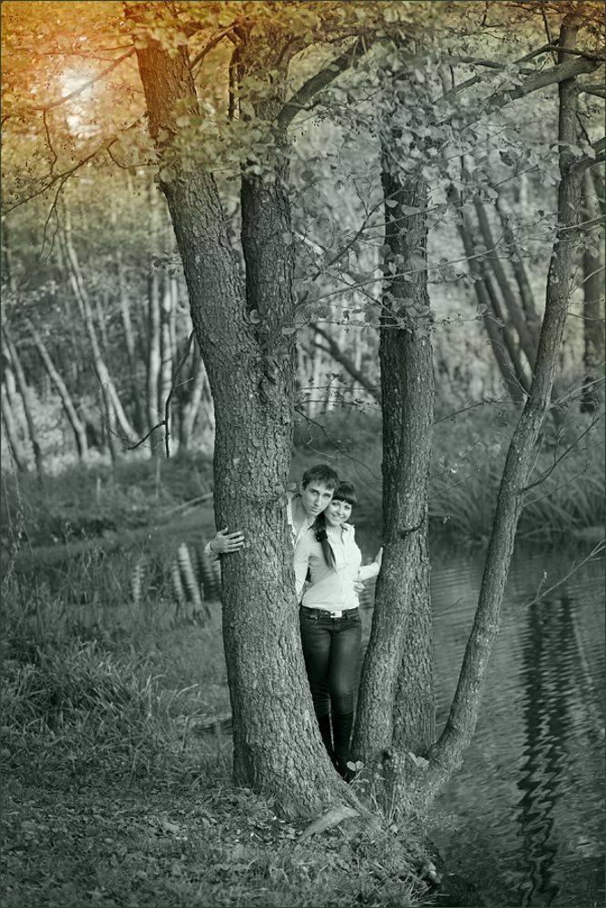 ---= Love Story (ED) =---