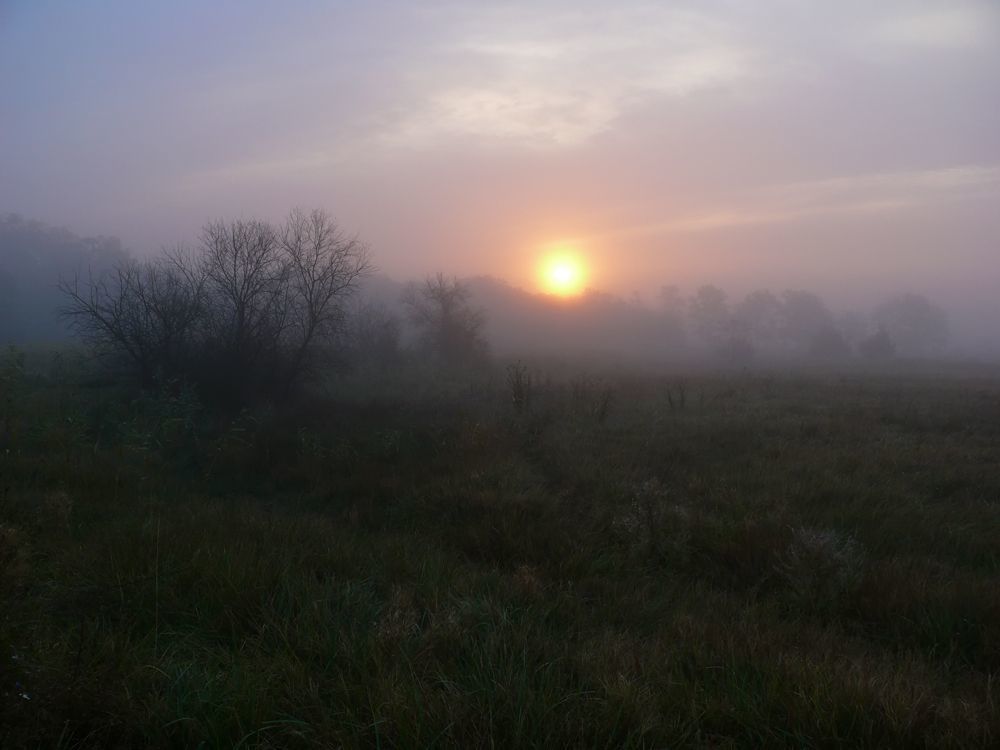 Photo 138326