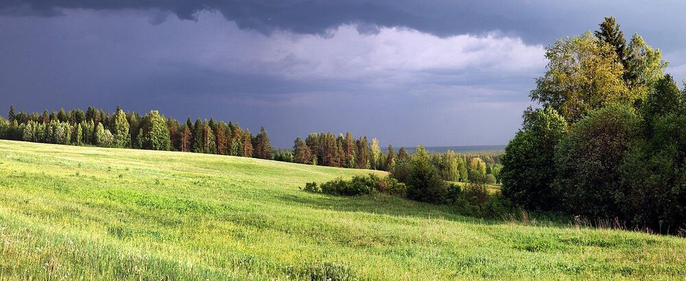 грозы
