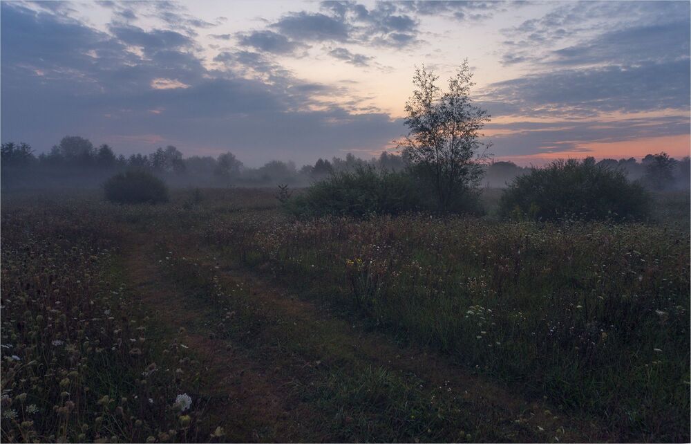 до свидания...лето