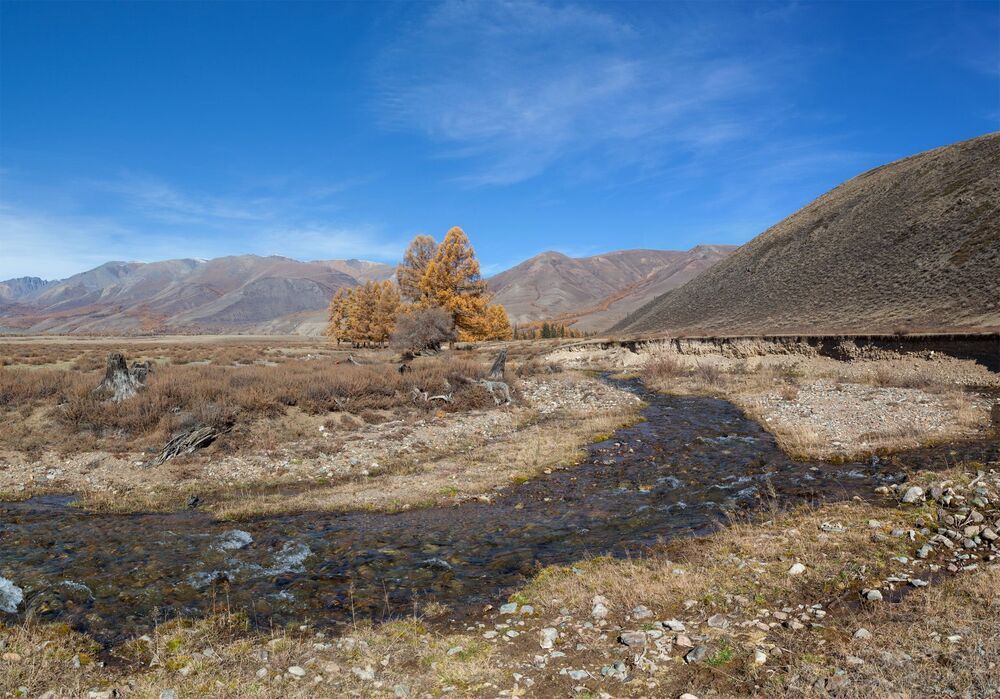 Осенний вариант