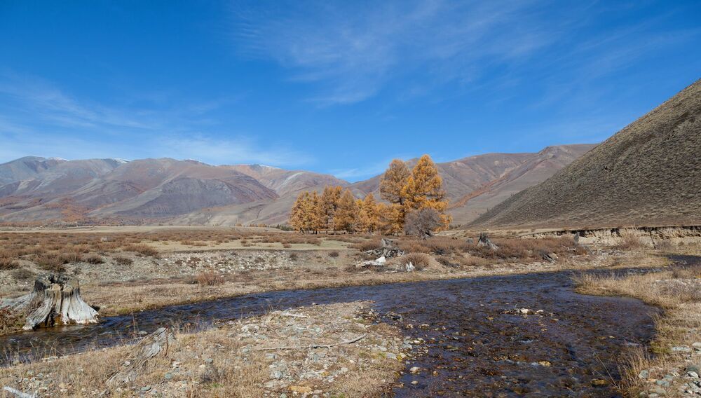 Осенний вариант