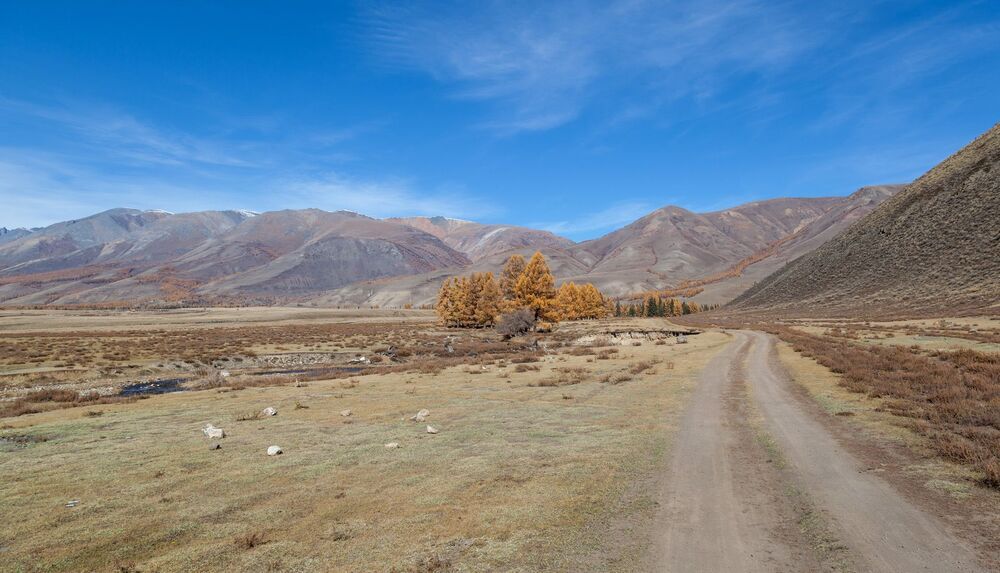 Осенний вариант