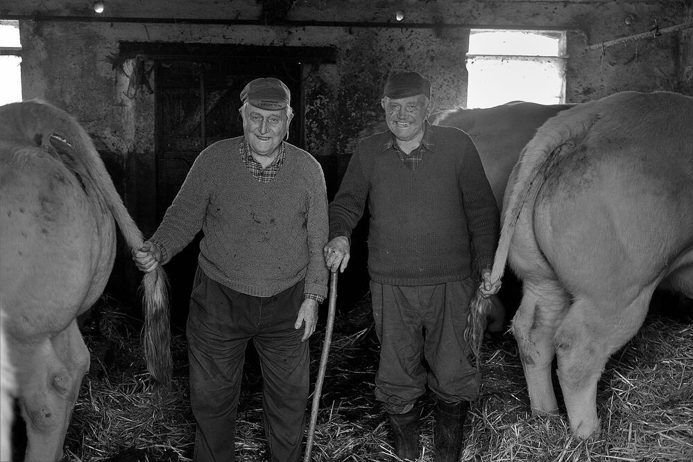 The three brothers.