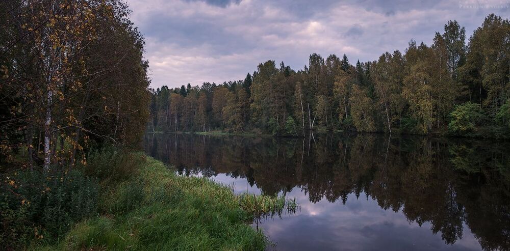 Прогулка по деревне Мандроги (продолжение)