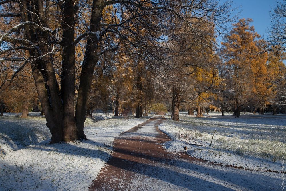 Первый снег в Екатериненском парке, ноябрь 2018