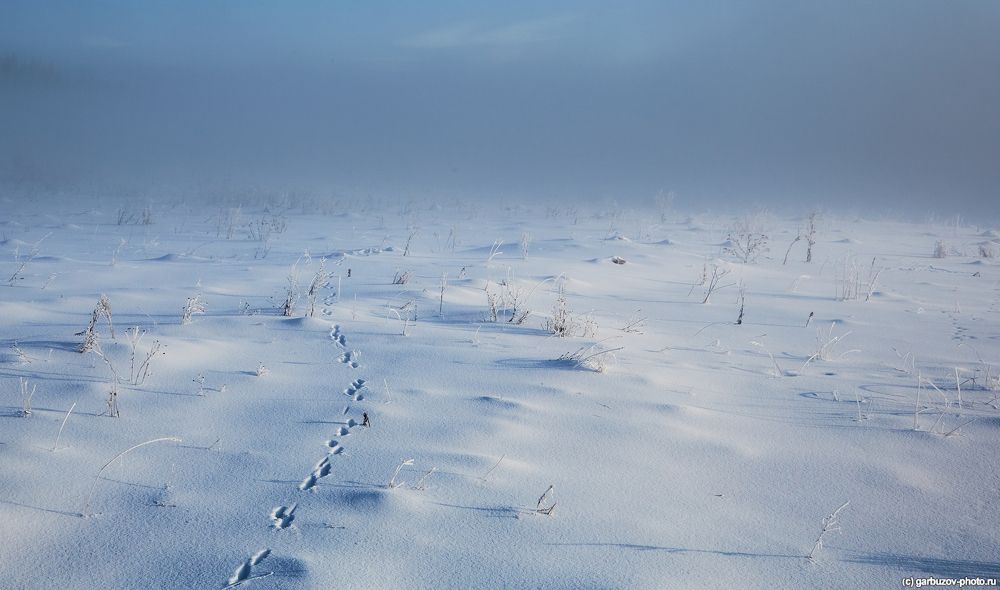 Утро морозное, утро седое