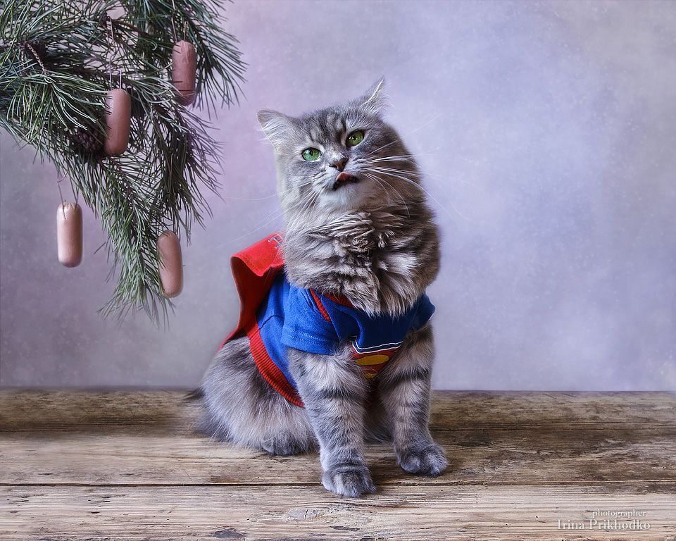 - Супергероя сосиками не соблазнишь!