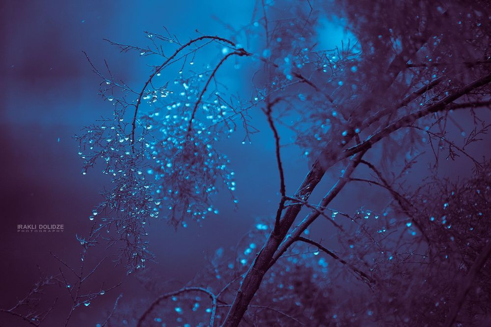 Raindrops
