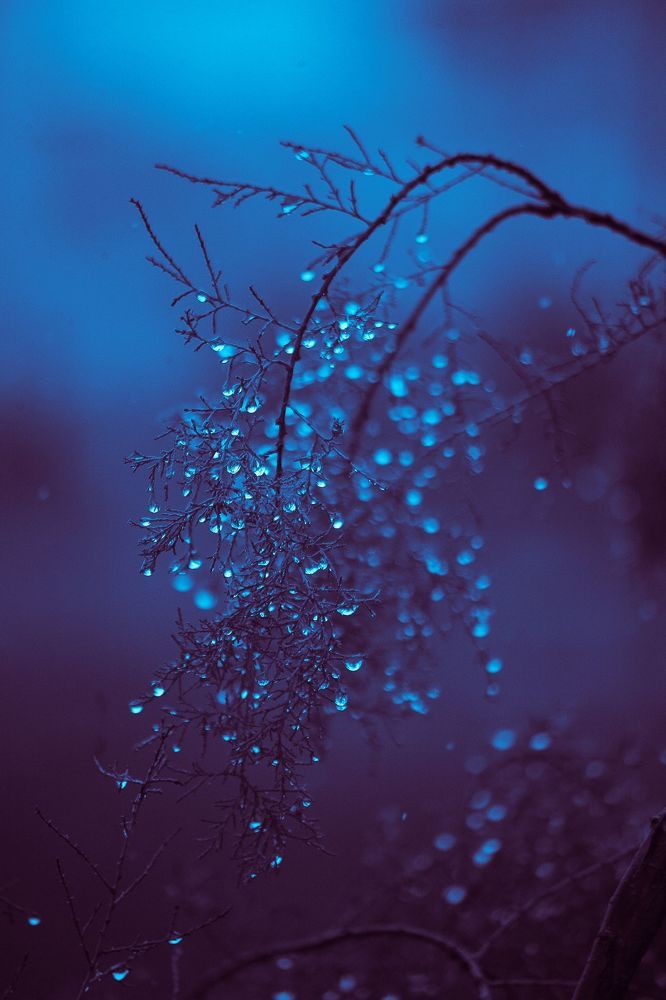 Raindrops