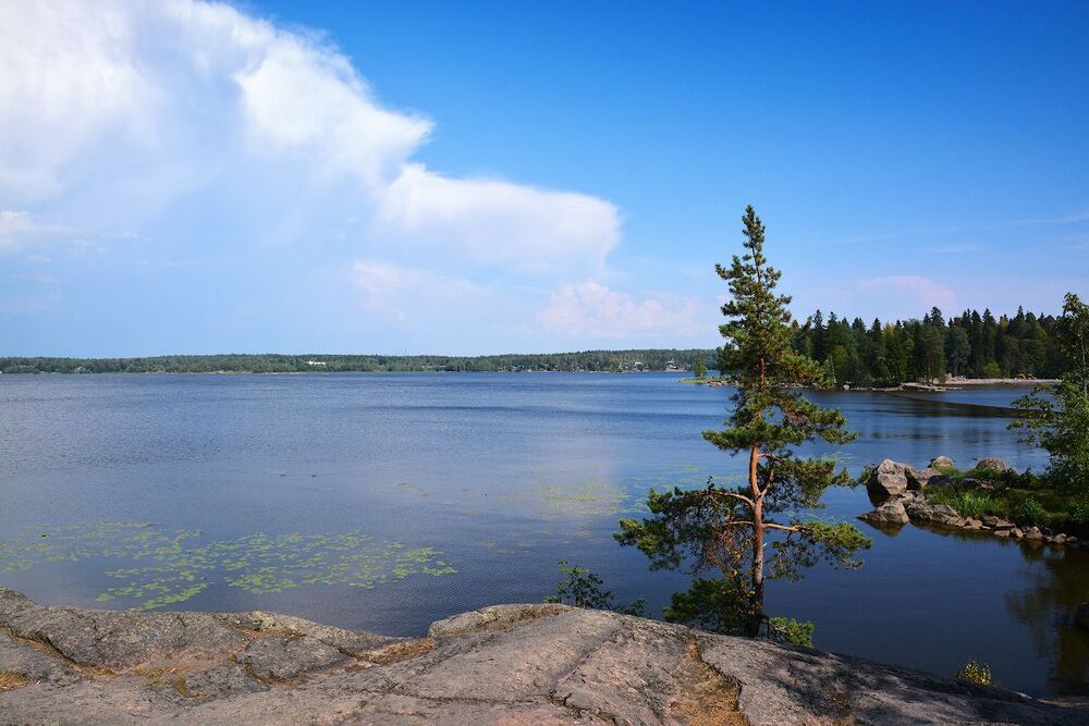 В парке Монрепо