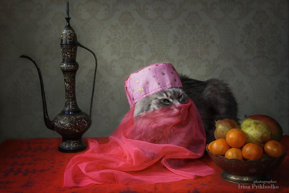 Сказки Тысячи и одной ночи