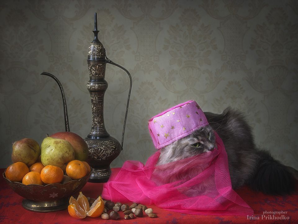 Сказки Тысячи и одной ночи