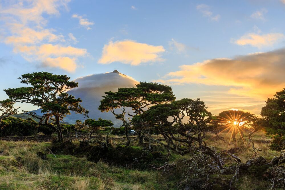 Volcano Pico