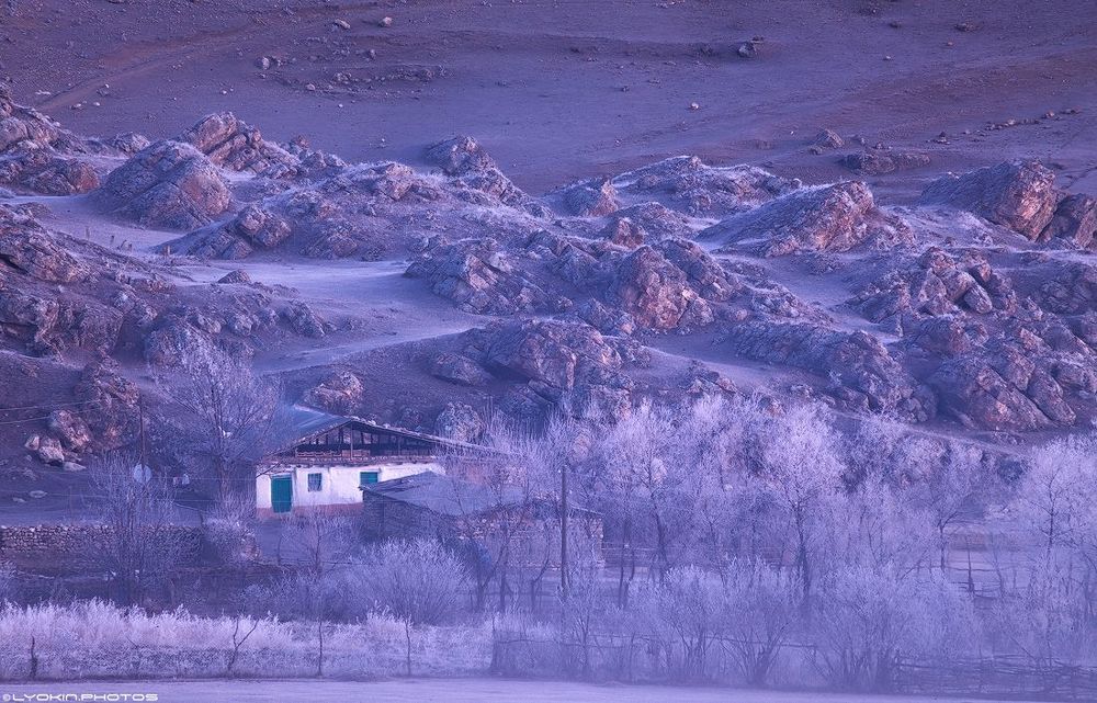 Вместо него леденящий туман