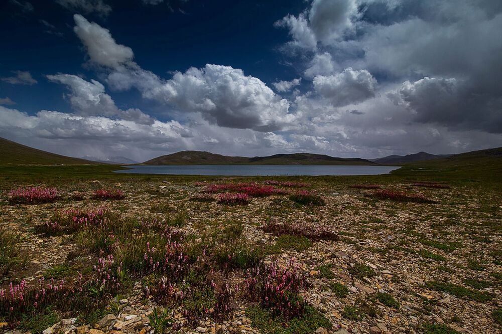 Deosai National Park Pakistan