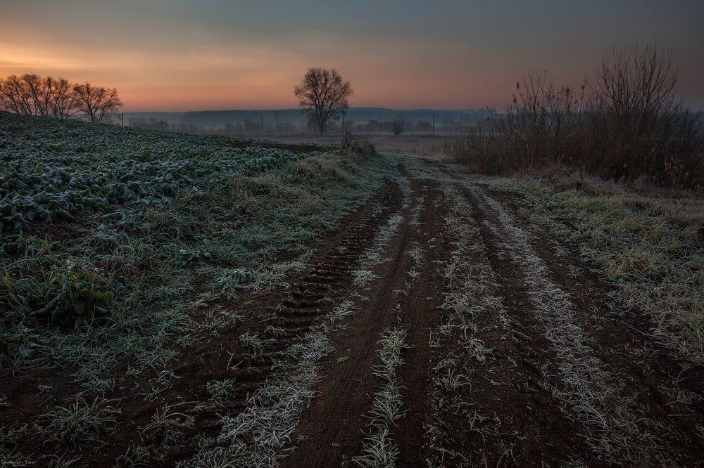 пейзаж