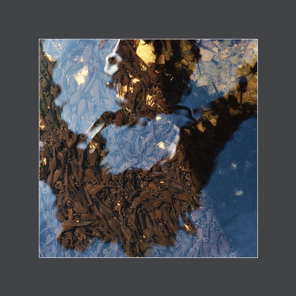 Abstract nature