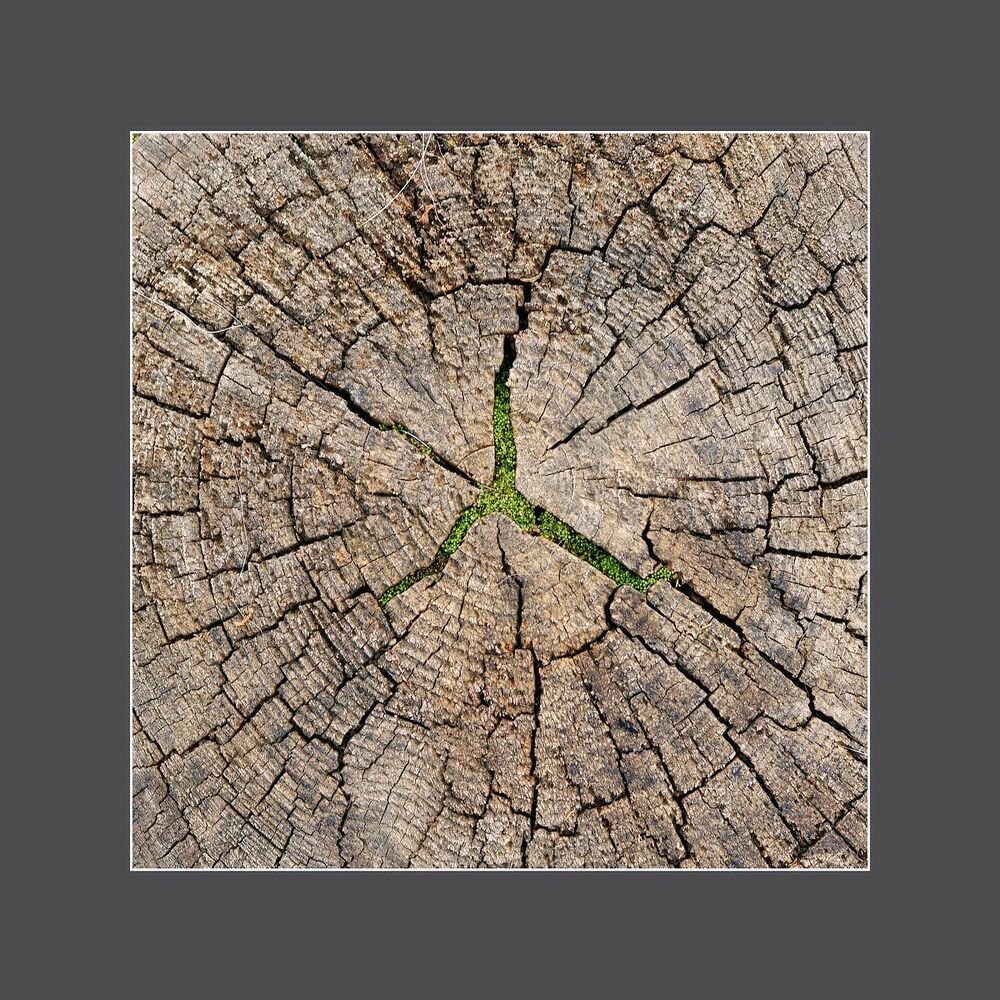 Abstract nature