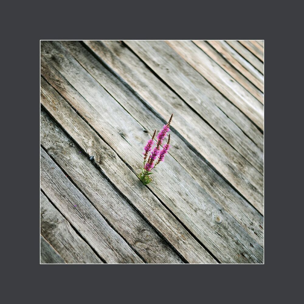 Abstract nature