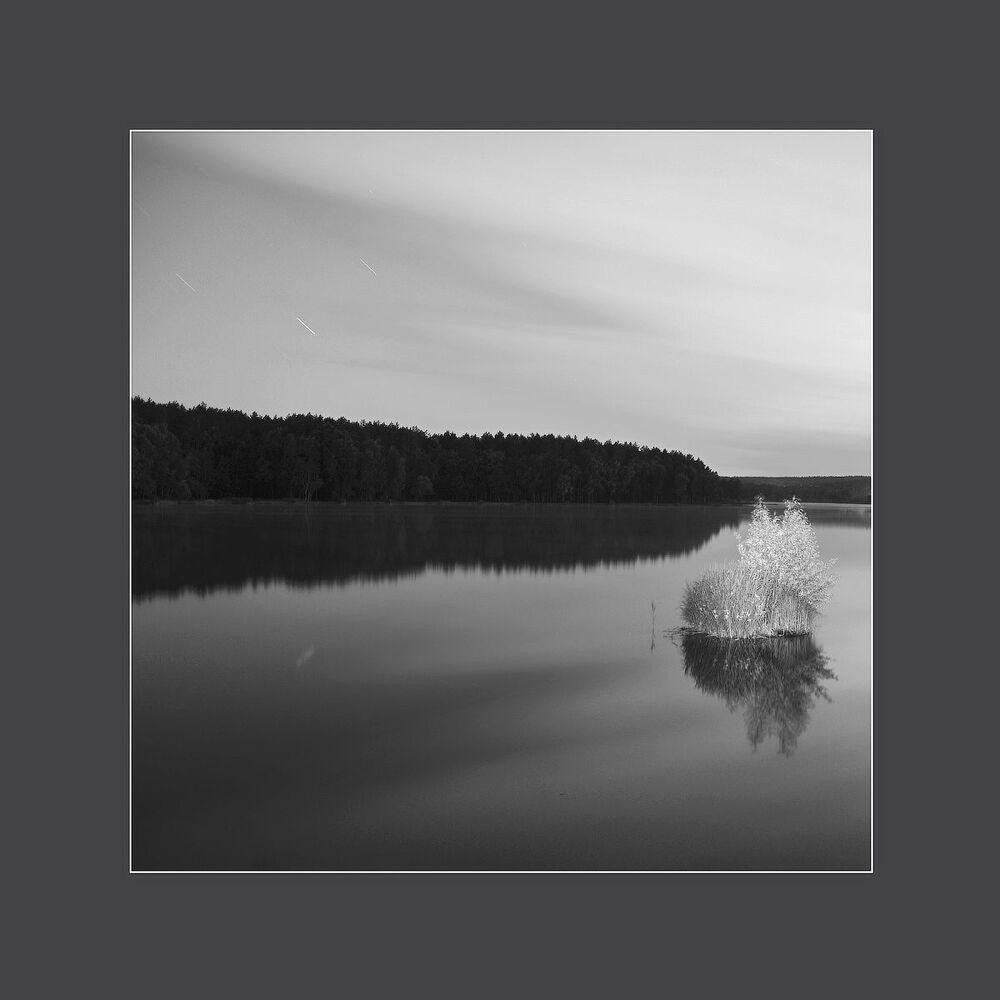 Abstract nature