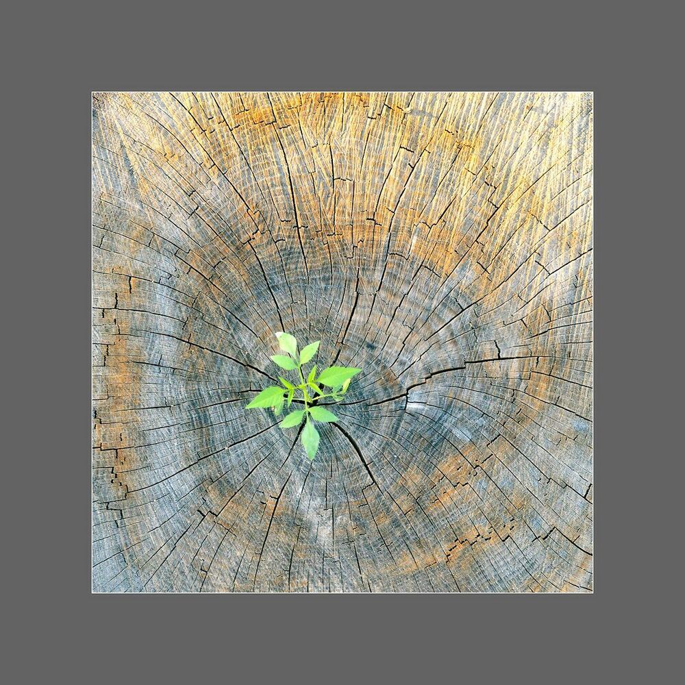Abstract nature