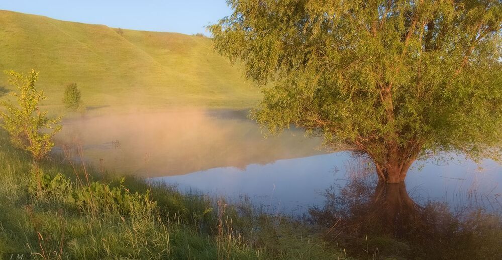 Летнее утро на реке ..